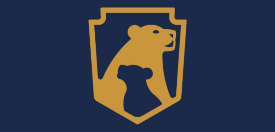 Liddicoat Basketball crest
